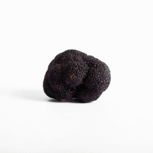 trufa negra fresca 55-60 gramos
