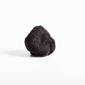 trufa negra fresca 30-35 gramos
